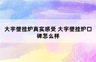 大宇壁挂炉真实感受 大宇壁挂炉口碑怎么样